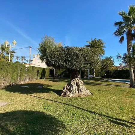 Denia,piscina,padel,150 M De La Playa 아파트 *